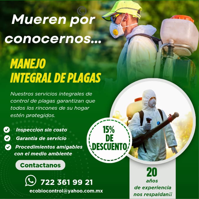 WhatsApp-Image-2025-09-02-at-9.41.06-AM-1